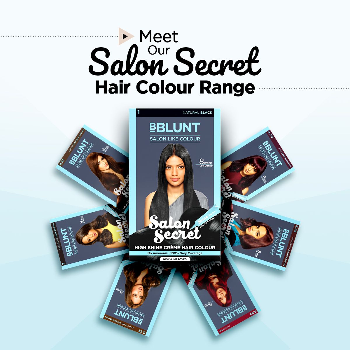 BBlunt Salon Secret High Shine Natural Black Hair Colour -100g